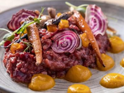 Wren Urban Nest - 22