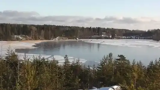 Белые Росы - 22