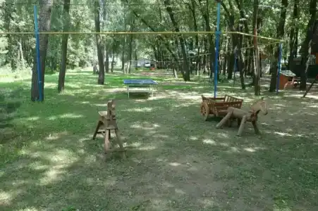 Дубрава - 29