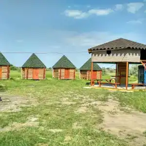 Апи дворик - 0