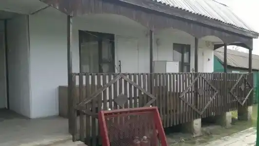 Дружба - 5