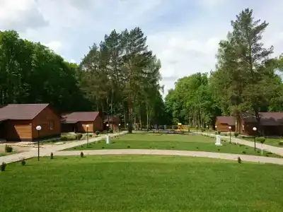 Приокские Зори - 82