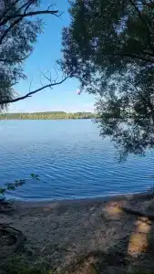 Сосновый берег - 28