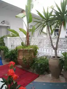 Dar Adul - 16