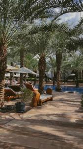Park Hyatt Dubai - 33