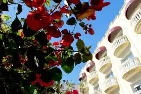 Urh Sitges Playa - 6