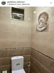 Меркурий - 15