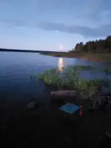 Колокольцево - 45