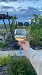 Фридом Веселовка - 69