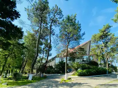 Villa Reta & Spa - 10