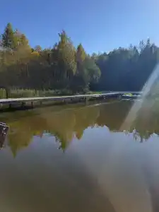 Сосновый берег - 10
