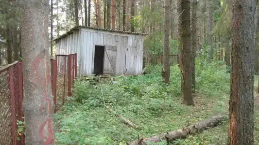 Ласточка - 9