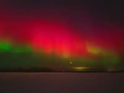 Арктик Хоум - 24