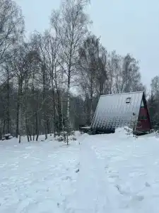 Ильинка лес - 85