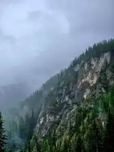 Найман - 16