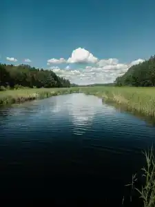 Ravansaari - 57