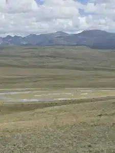 Altay Steppe - 27