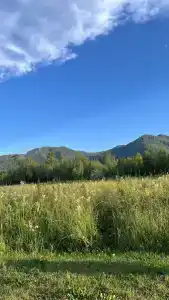 Тодош - 35