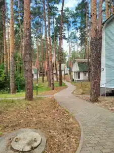 Берендей - 14