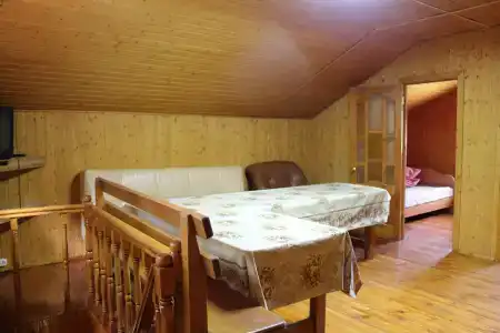 Тюльпан - 12