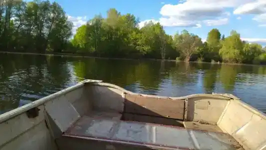 Тополя - 10