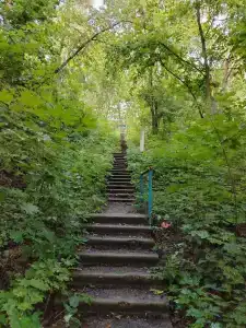 Серебряный источник - 7
