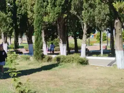 Пионер - 46