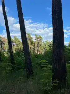 Улей - Ока - 35