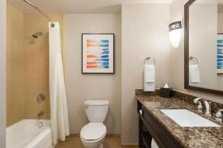 Embassy Suites by Hilton- Lake Buena Vista Resort - 37
