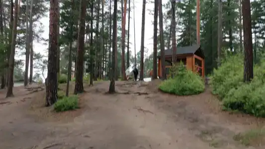 Теремок - 21