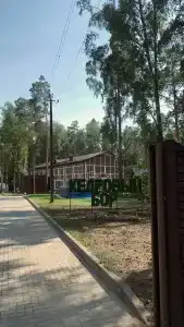 Кедровый Бор - 43
