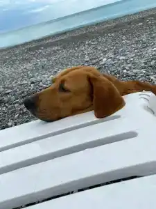 Riva Del Mare - 6