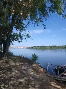 Дары Дона - 38