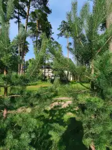 Славянка - 51