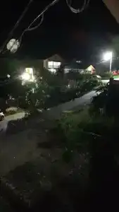 Белый парус - 60