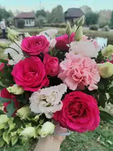 Вольские дачи - 36