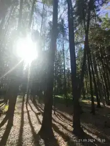 Дом для отпуска в ПК Лесная Сказка - 27