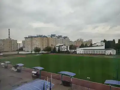 5 колец - 29