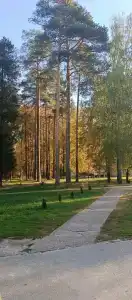 Городец - 27