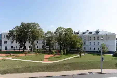 The Basilian Minsk, Curio Collection By Hilton - 85