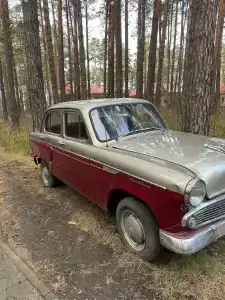 Дружба - 19
