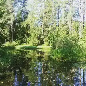 Якимиха - 43