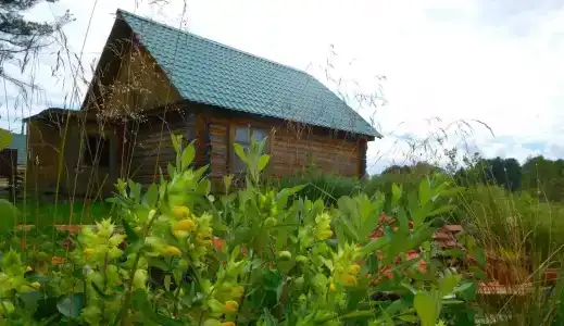 Озеро светлое - 3