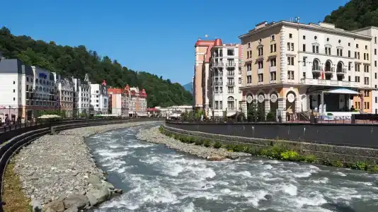 Голден Тюлип - 10