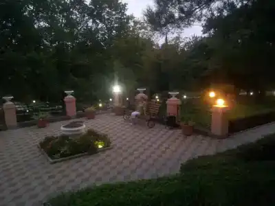 Сосновый - 30