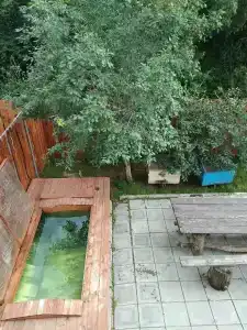 Медовый - 39
