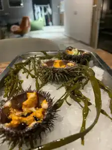 Teriberka by Eco Home - 87