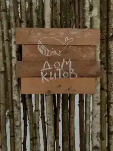 Дом Китов - 29