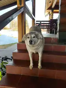 Усадьба Галат - 82