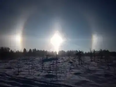 Снегоходия - 26